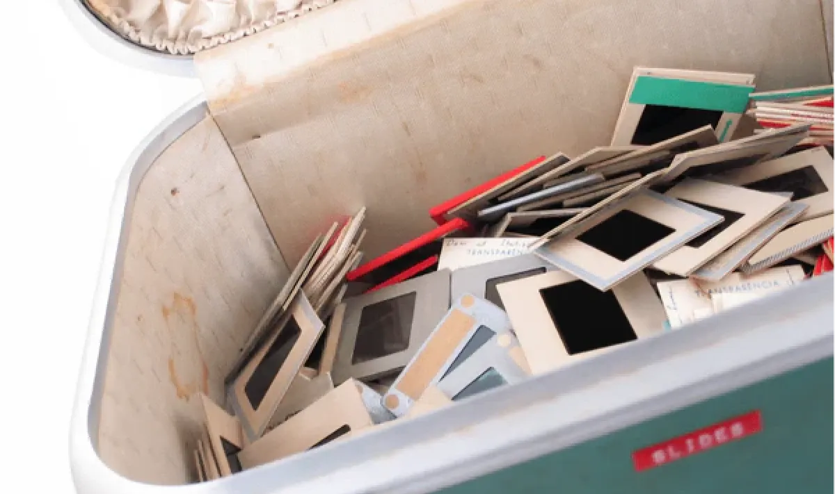 菲林放在箱子裡