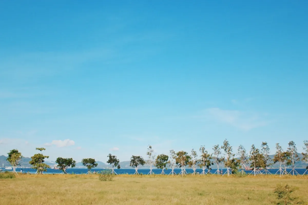 Ho Wo Street, Tuen Mun — “Hong Kong’s Miami”