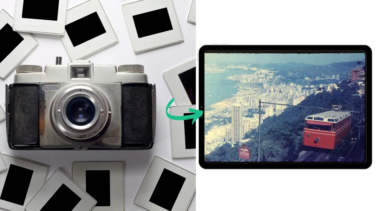 Sharing Timeless Moments